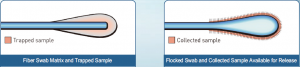 การเก็บตัวอย่างเซลล์ต้องใช้ flocking swabs