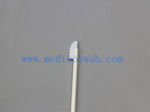 Écouvillon d'échantillonnage oral jetable