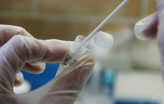 DNA -Probensammlung